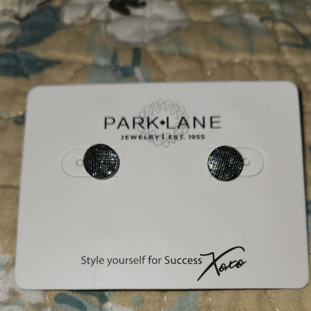 Park Lane Hematite Stud Earrings